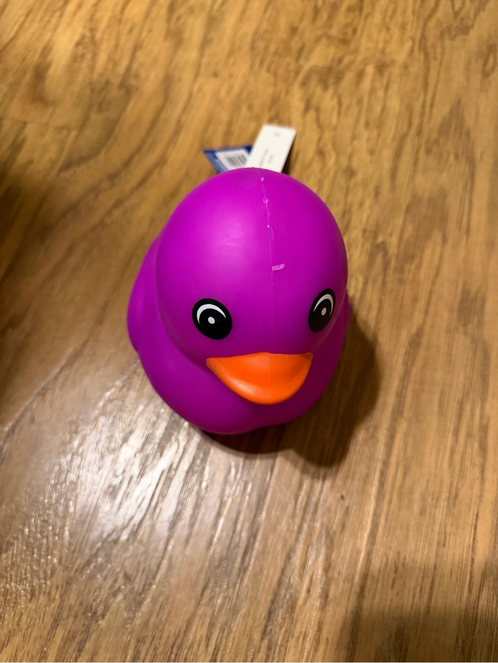 Toymendous Halloween Purple Squishy Duck NWT